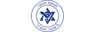 תנועת נוער "המכבי הצעיר"